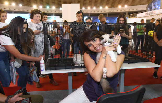 Дефиле мачака на штанду “Новости”